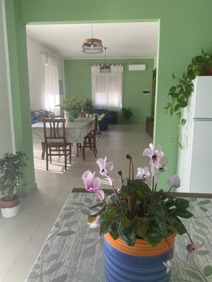 La Casa Verde Apartment ชีนิซี ภายนอก รูปภาพ